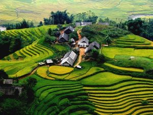 Những thửa ruộng bậc thang là một nét đẹp đặc trưng của Sapa