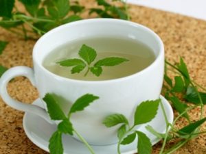 Trà giảo cổ lam có tính mát, vị ngọt hơi đắng
