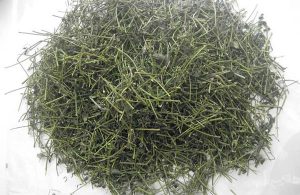 Giảo cổ lam là một thảo dược quý từ thiên nhiên