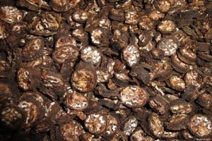 Chuối hột rừng là một vị thuốc nam rất quý