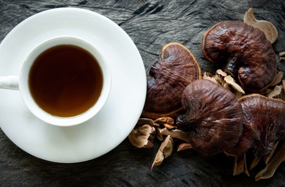 cách sử dụng nấm lim xanh